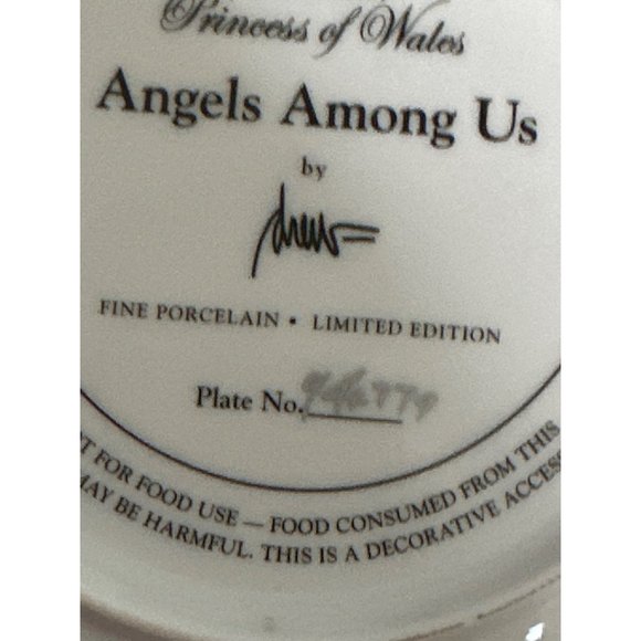 Limited edition Franklin Mint Diana Princess of Wales - Picture 3 of 5